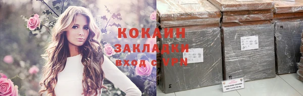прущие грибы Белоозёрский