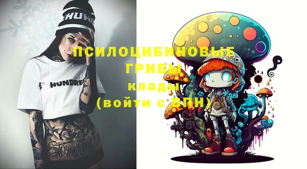 прущие грибы Белоозёрский